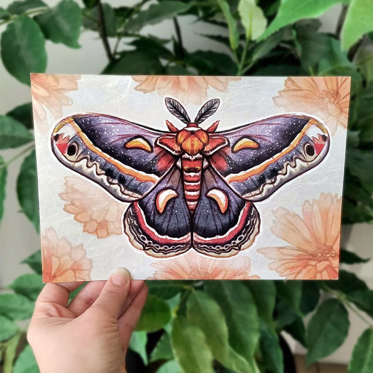 Mail from Ryanne Levin Art Postcard Club✨